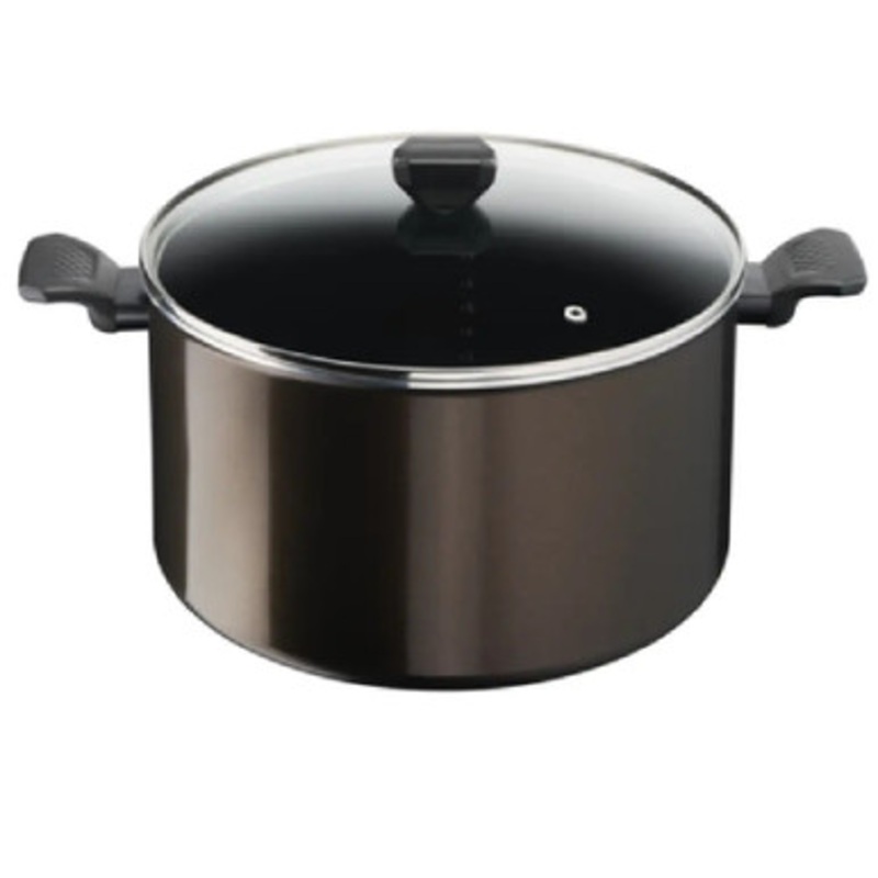 Tefal Easy Cook Clean Stewpot 24cm + Glass lid  | B5544602