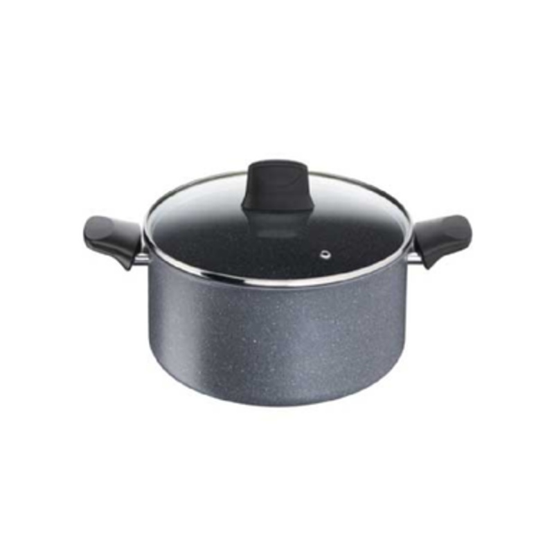 Tefal Mineralia Force Stewpot pan 24 cm with Lid | G1234683