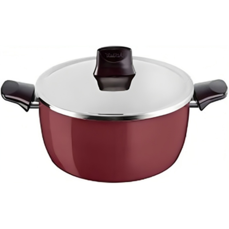 Tefal Pleasure – Stewpan 20cm+lid | D5054452