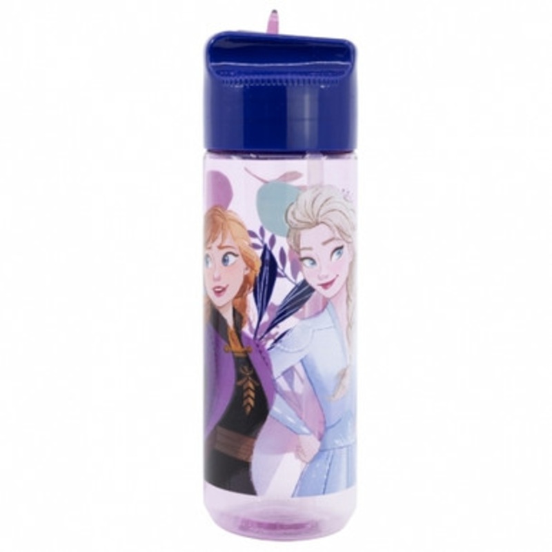 Stor Large Ecozen Hydro Bottle 540ml Frozen Trust The Journey | 74223
