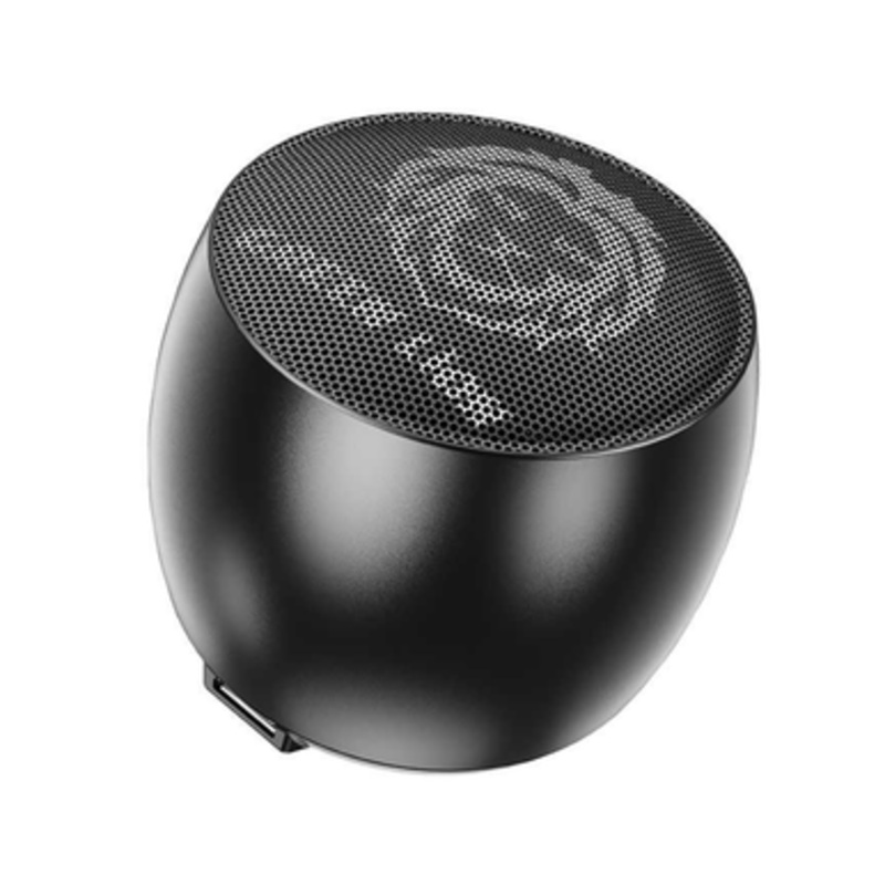 Green Lion Mini Pro Speaker – Black | GNMINIPSPKBK