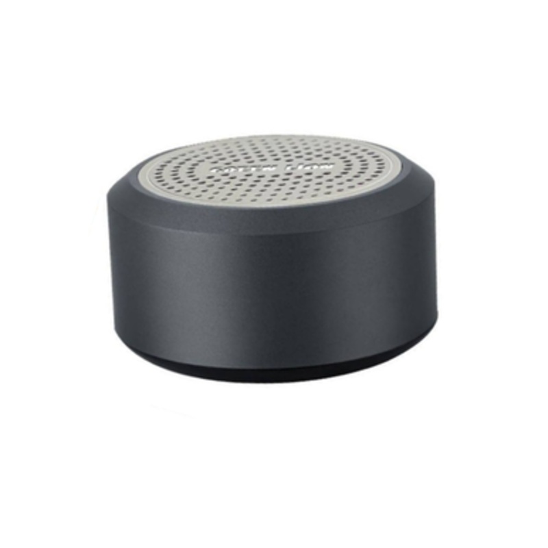 Green Lion Mini Muscle Speaker – Gray | GNMINIMSLSPGY