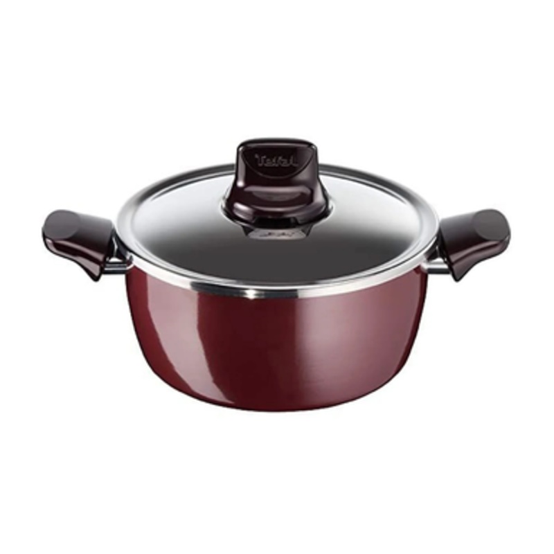 Tefal Pleasure Stewpot – 26Cm | D505525