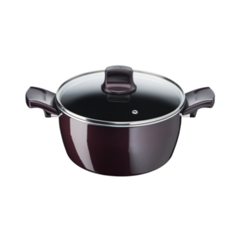 Tefal Resist Intense 22 cm Stewpot | D5224582