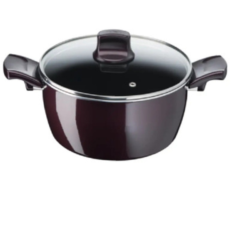 Tefal Resist Intense – Stewpot 26cm + Glass Lid | D5225282
