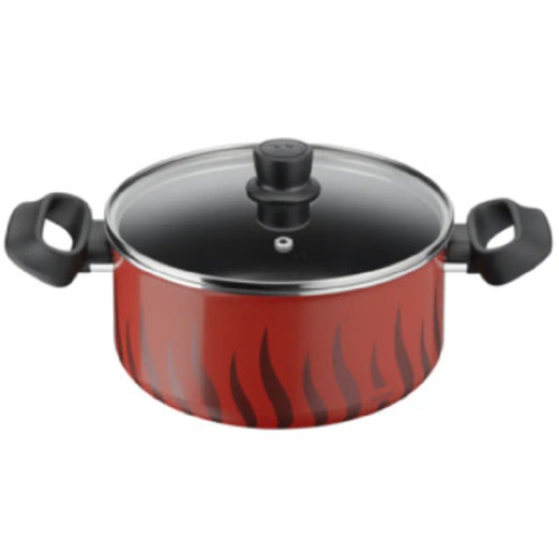 Tefal Tempo Flamme stewpot 22 cm | C3044585