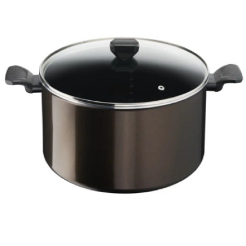 Tefal Easy Cook Clean Stewpot 30cm + Glass lid  | B5546902